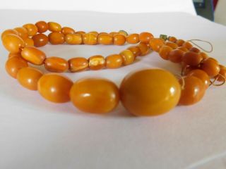 ANTIQUE BUTTERSCOTCH EGG YOLK AMBER BEADS NECKLACE 28.  4 grams 10