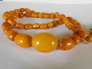 ANTIQUE BUTTERSCOTCH EGG YOLK AMBER BEADS NECKLACE 28.  4 grams 2