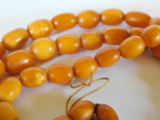 ANTIQUE BUTTERSCOTCH EGG YOLK AMBER BEADS NECKLACE 28.  4 grams 3