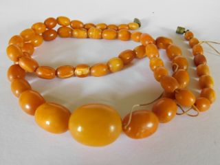 ANTIQUE BUTTERSCOTCH EGG YOLK AMBER BEADS NECKLACE 28.  4 grams 5