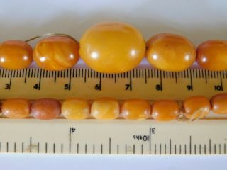 ANTIQUE BUTTERSCOTCH EGG YOLK AMBER BEADS NECKLACE 28.  4 grams 9