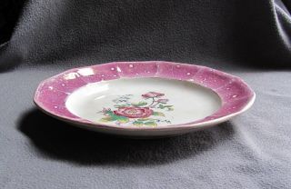 Thomas Walker Sunderland Pink Luster Plate Paneled Border Floral Center 2