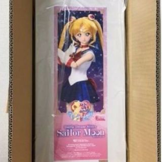 Sailor Moon × Dollfie Dream Dds Volks Doll Figure Makeover Set Anime Japan Rare