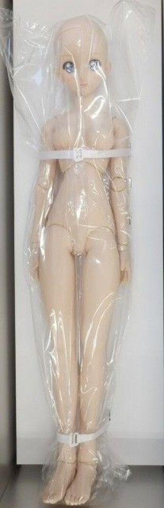 Sailor Moon × Dollfie Dream DDS Volks doll figure Makeover Set anime JAPAN RARE 2