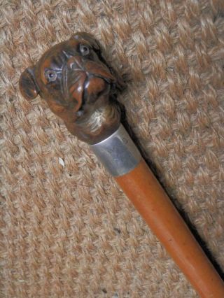 Antique " Brigg " Walking Stick - Hand Carved Bulldog Head & Silver Collar Hm 1928