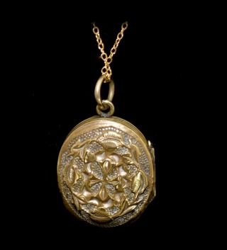 ABSOLUTELY Fabulous ANTIQUE Victorian ENAMEL & GOLD DOG LOCKET Necklace WOW 3