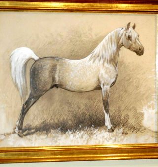 Listed Lynn Bogue Hunt Painting Arabian Stallion Horse Equestrian Rare