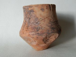Prehistoric Cup 105 Mm