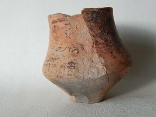 Prehistoric Cup 105 mm 2