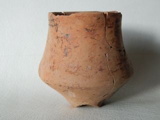 Prehistoric Cup 105 mm 3