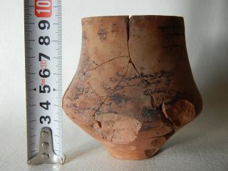 Prehistoric Cup 105 mm 6