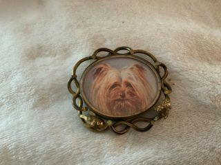 Antique Miniaturize Portraiture Yorkshire Terrier