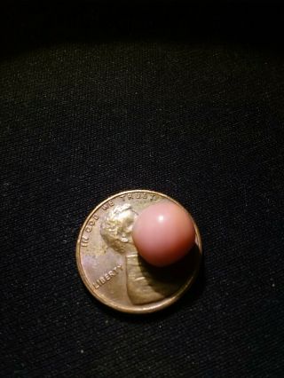 4.  75ct Pink Natural Bahamian Queen Conch Pearl Rare