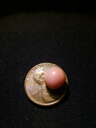 4.  75ct Pink Natural Bahamian Queen Conch Pearl Rare 2