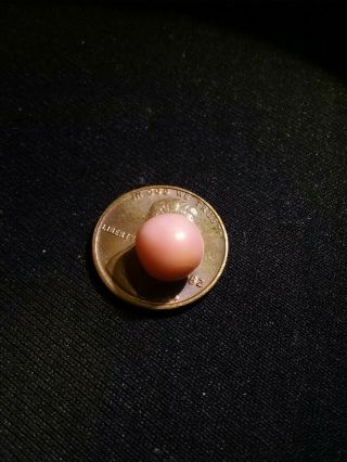 4.  75ct Pink Natural Bahamian Queen Conch Pearl Rare 5