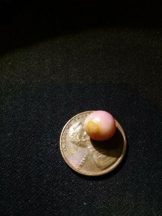 4.  75ct Pink Natural Bahamian Queen Conch Pearl Rare 9