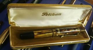 Pelikan 101n Emege Dark Brown Tortoise Shell Vintage Fountain Pen - M 14k - Flex