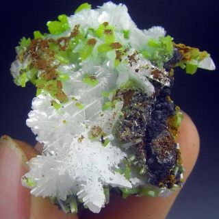 Rare Snowflake Cerussite Crystal & Pyromorphite - Cr70816