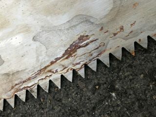 Simonds Saw & Steel Co No.  207 Two - Man Crosscut Taper Logging 4 ' Saw Blade - VTG 5