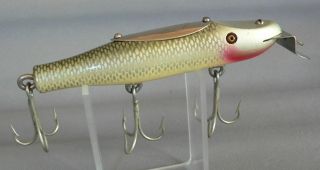 Tough Creek Chub Kf - 107 Mullet Kingfish Pikie,  Glass Eyes Looks Great