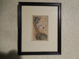 Vintage Chinese Scroll Painting Of Crane / Stork / Heron ? -