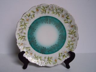 Antique White Floral Porcelain Plate Hand Painted Gold Trim