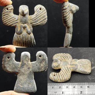 Ancient Rare Unique Eagle Bird Stone Wonderful Amulet 58