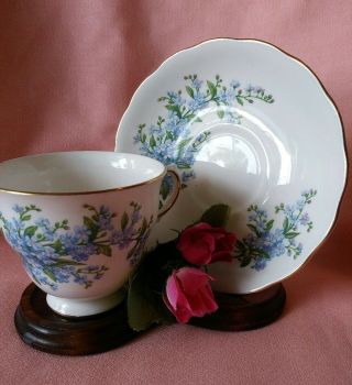 Vintage Queen Anne Blue Florals Bone China Tea Cup & Saucer England