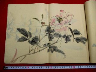 1 - 10 Japanese Plant Flower Hand Drown Pictures Book