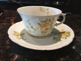 Vintage Tea Cup & Saucer Royal O&e.  G White With Yellow Flowers