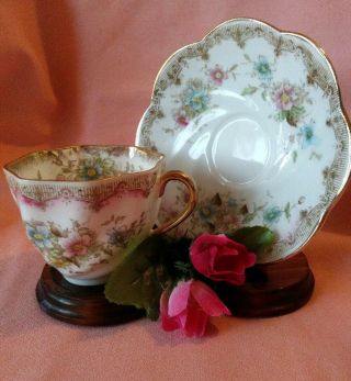 Vintage Handpainted Pink & Blue Florals Tea Cup & Saucer Set Numbered 2/22