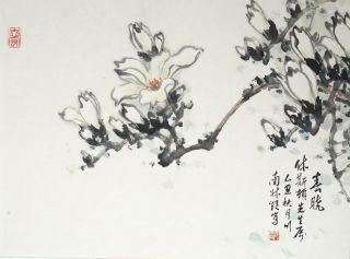 Fine Chinese Scroll Painting Ink And Colour - Magnolia - Signed