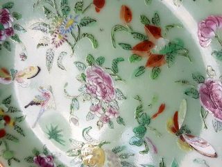 Fine Antique Chinese Porcelain Famille Rose Celadon Plate
