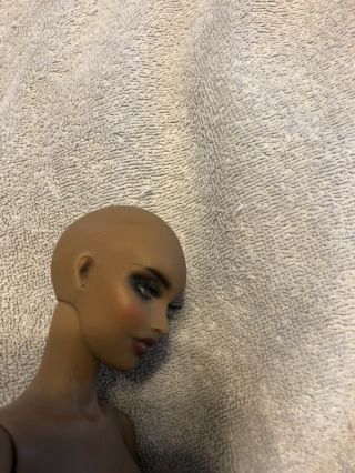 Rare Kingdom Doll Brigantia Including,  Resin British Fashion Model BJD 6