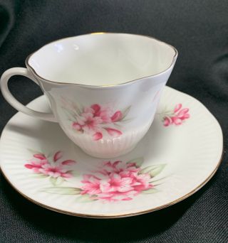Vintage Royal Minster England Bone China Pink Roses Tea Cup & Saucer