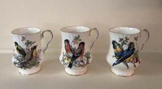 Vintage Royal Windsor Fine Bone China Bird/floral Tea Cups Set Of 3 (england)
