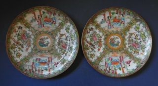 Large Chinese Porcelain Canton / Rose Medallion Plates - 19th Century