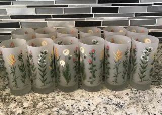 Set Of 12 Vintage Neiman - Marcus Frosted Tumbler Glasses