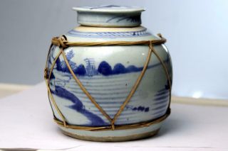 Antique Chinese Ginger Jar Blue and White 2