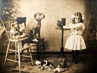 Antique Photo - Young Girl,  Dog,  Teddy Bear & No.  1a Kodak Jr Camera - Holiday
