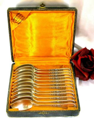 French Louis Xvi Silver Crossed Ribbon & Bow 12 Tea/cafe Spoons W/box 5.  75 " L