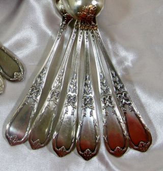 French Louis XVI Silver Crossed Ribbon & Bow 12 Tea/Cafe Spoons w/Box 5.  75 