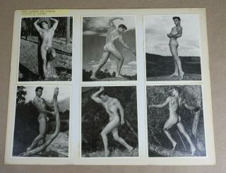 Physique Photography,  Rare Male Nude Series,  Model Show Card One Of A Kind 11x14