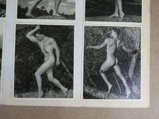 Physique Photography,  Rare Male Nude Series,  Model Show Card One of a Kind 11x14 4