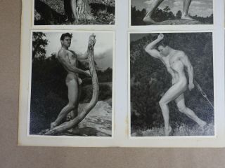 Physique Photography,  Rare Male Nude Series,  Model Show Card One of a Kind 11x14 5