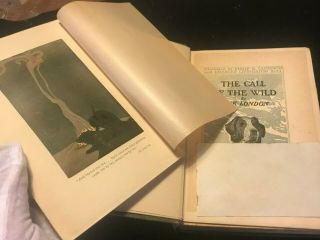 RARE The Call of the Wild 1903 1st Edition 1st Printing Signed Jack London 5