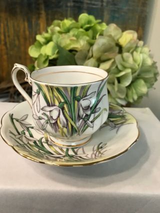 Royal Albert Hand Painted Snowdrop Tea Cup And Saucer “flower Of The Month”