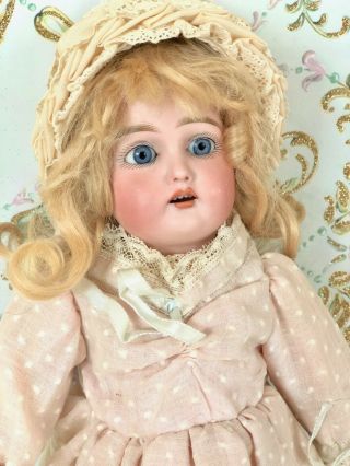 Petite 192 Antique German Bisque Head Doll Kammer & Reinhardt K&r 192 Wig Dress