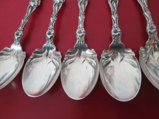 7 - LILY 1902 - WHITING - STERLING - 5 1/4 in ICE CREAM SPOONS 6 toz 2