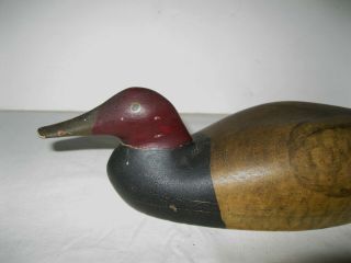 Vintage Duck Decoy by Frank Adams 10 3/4 